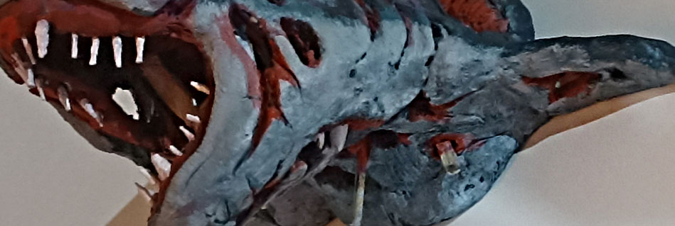 Shark_Dettagli_All